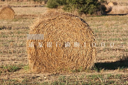 浦发银行逾期1000三个月 浦发银行逾期1000三个月