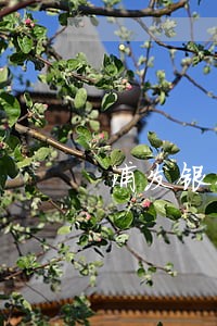 浦发银行逾期2千块