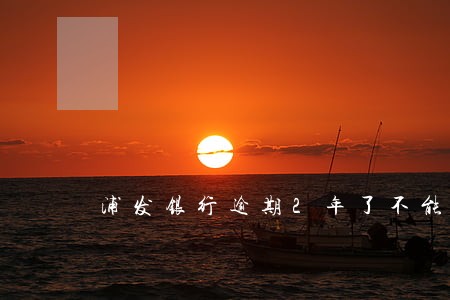 浦发银行逾期2年了不能分期吗