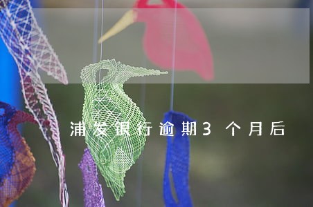 浦发银行逾期3个月后 浦发银行逾期3个月后