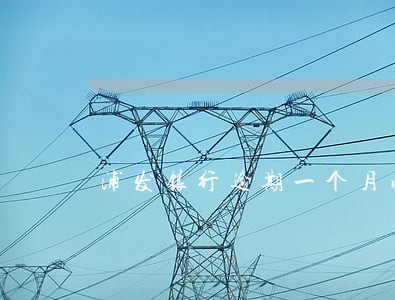 浦发银行逾期一个月临时管制 浦发银行逾期一个月临时管制
