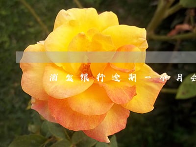 浦发银行逾期一个月会怎样 浦发银行逾期一个月会怎样