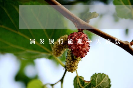 浦发银行逾期一天房款 浦发银行逾期一天房款
