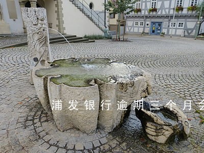 浦发银行逾期三个月会怎么样 浦发银行逾期三个月会怎么样