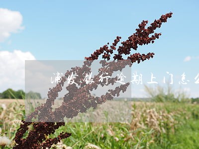 浦发银行逾期上门怎么协商