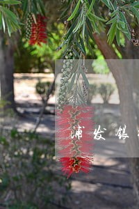 浦发银行逾期不能协商分期 浦发银行逾期不能协商分期