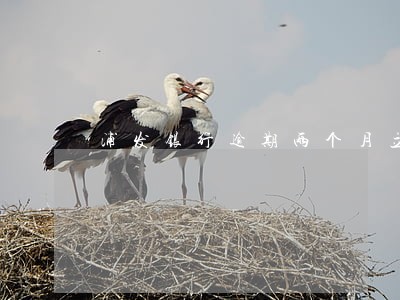 浦发银行逾期两个月立案