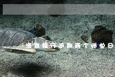 浦发银行逾期两个账单日 浦发银行逾期两个账单日