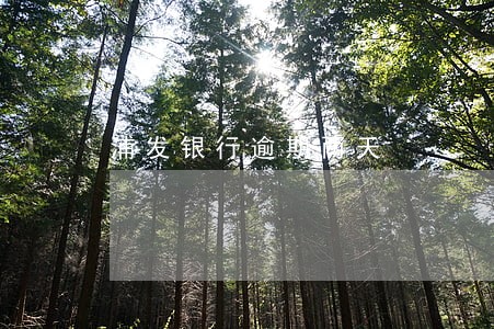 浦发银行逾期两天 浦发银行逾期两天