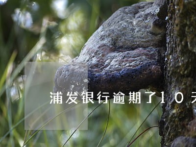 浦发银行逾期了10天 浦发银行逾期了10天