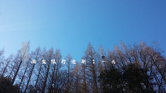 浦发银行逾期了一天 浦发银行逾期了一天