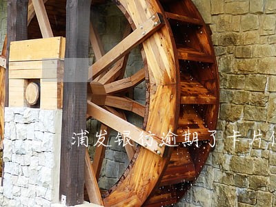 浦发银行逾期了卡片停止使用 浦发银行逾期了卡片停止使用