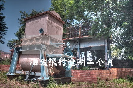 浦发银行逾期二个月