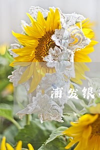 浦发银行逾期会影响房贷吗 浦发银行逾期会影响房贷吗