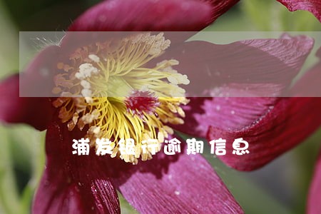 浦发银行逾期信息 浦发银行逾期信息