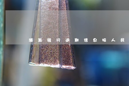 浦发银行逾期信息报人民银行 浦发银行逾期信息报人民银行