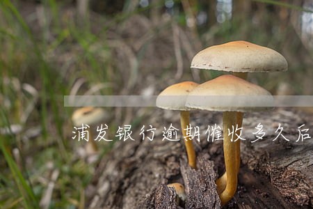 浦发银行逾期催收多久后报案 浦发银行逾期催收多久后报案