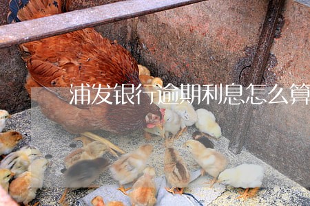 浦发银行逾期利息怎么算上海 浦发银行逾期利息怎么算上海