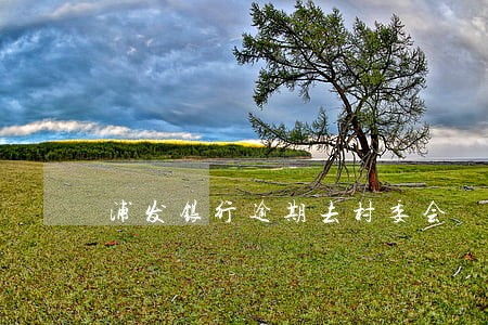 浦发银行逾期去村委会 浦发银行逾期去村委会