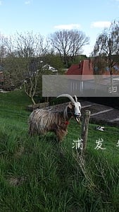 浦发银行逾期后还清最低 浦发银行逾期后还清最低
