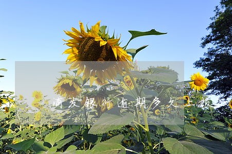 浦发银行逾期多久上报征信 浦发银行逾期多久上报征信