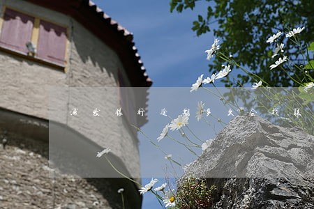 浦发银行逾期多久会找联系人 浦发银行逾期多久会找联系人
