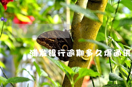 浦发银行逾期多久爆通讯录 浦发银行逾期多久爆通讯录