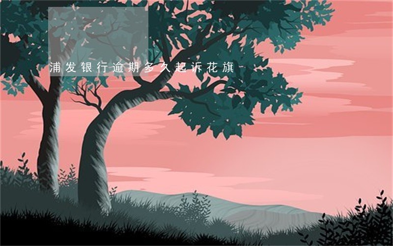 浦发银行逾期多久起诉花旗