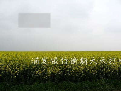 浦发银行逾期天天打电话 浦发银行逾期天天打电话