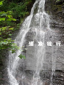 浦发银行逾期委外 浦发银行逾期委外