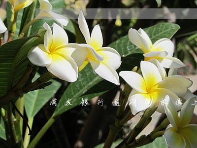 浦发银行逾期带录像上门招商 浦发银行逾期带录像上门招商