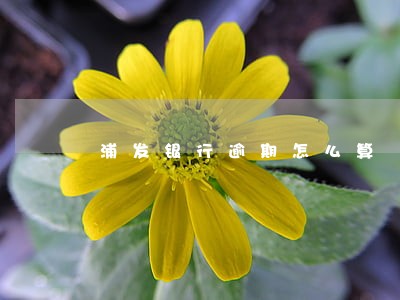 浦发银行逾期怎么算 浦发银行逾期怎么算