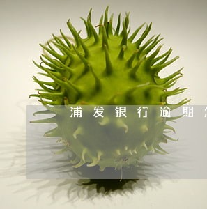 浦发银行逾期怎样 浦发银行逾期怎样