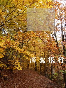 浦发银行逾期收多少利息 浦发银行逾期收多少利息