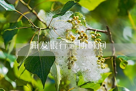 浦发银行逾期时间