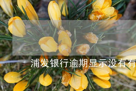 浦发银行逾期显示没有有效账户 浦发银行逾期显示没有有效账户
