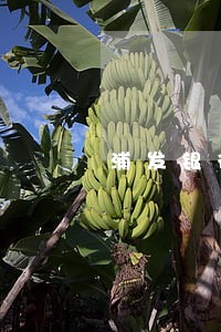 浦发银行逾期最长多久