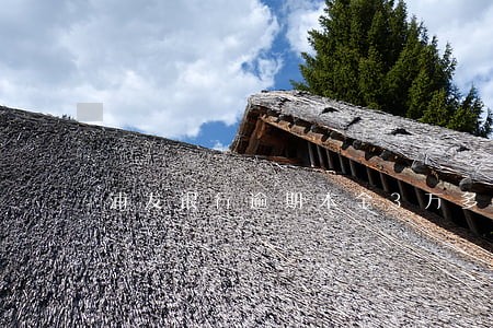 浦发银行逾期本金3万多4个月了 浦发银行逾期本金3万多4个月了