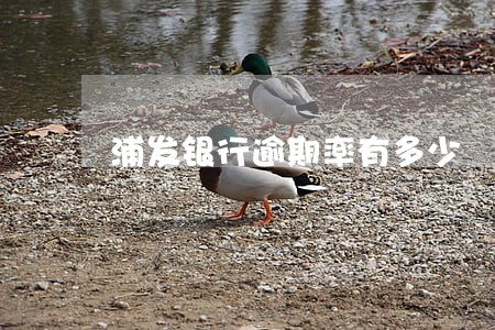 浦发银行逾期率有多少 浦发银行逾期率有多少