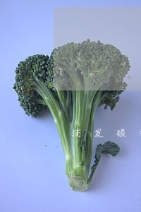 浦发银行逾期的利率是多少 浦发银行逾期的利率是多少
