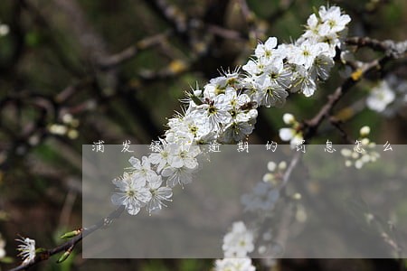 浦发银行逾期的罚息怎么算的 浦发银行逾期的罚息怎么算的