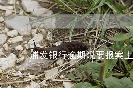 浦发银行逾期说要报案上门 浦发银行逾期说要报案上门