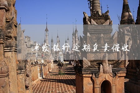 浦发银行逾期负责催收 浦发银行逾期负责催收