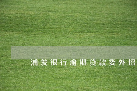 浦发银行逾期贷款委外招标 浦发银行逾期贷款委外招标