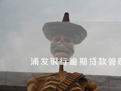 浦发银行逾期贷款管理