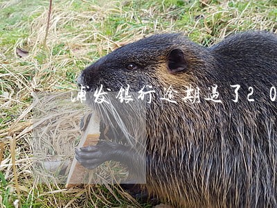 浦发银行逾期过了20天了 浦发银行逾期过了20天了