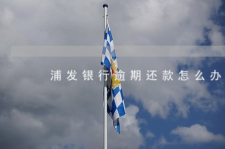 浦发银行逾期还款怎么办理 浦发银行逾期还款怎么办理