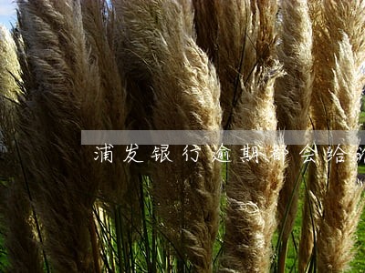 浦发银行逾期都会给谁打电话 浦发银行逾期都会给谁打电话