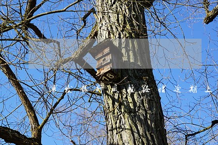 浦发银行风控经理逾期上门 浦发银行风控经理逾期上门