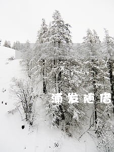 浦发随借金还款逾期 浦发随借金还款逾期